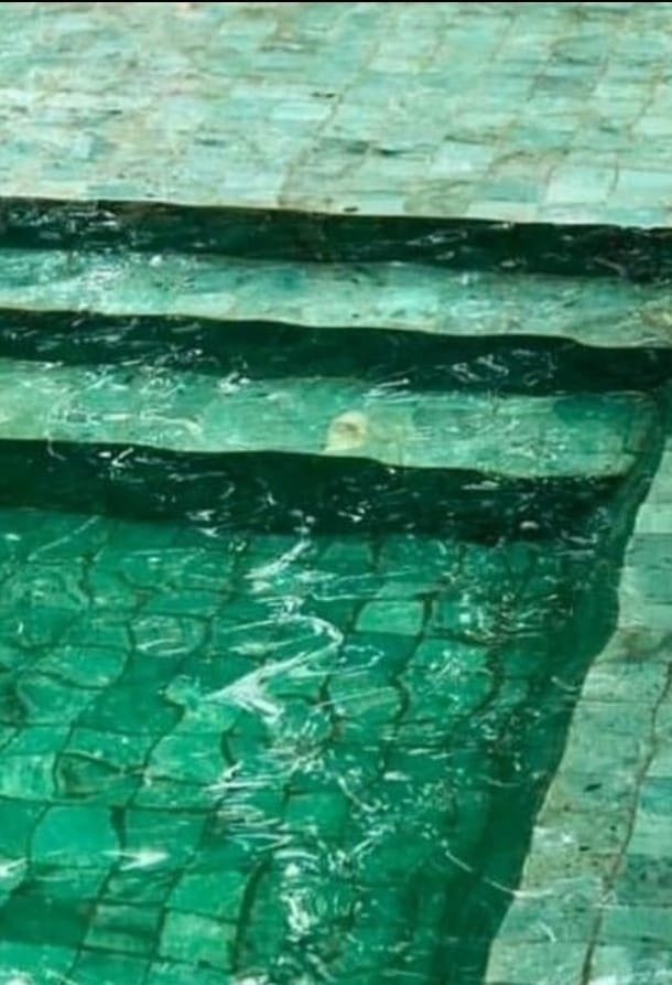 Revestimiento para piscinas en Mendoza Argentina los mejores precios.